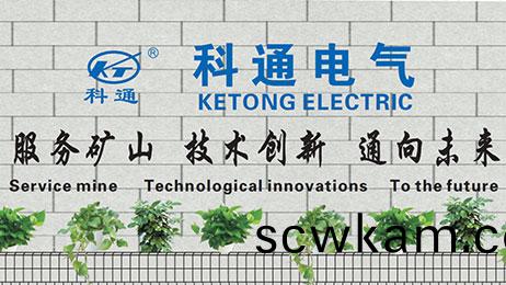 企(qi)業簡介