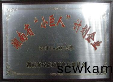 湖(hu)南(nan)省(sheng)“小(xiao)巨人”計(ji)劃(hua)企(qi)業(ye)